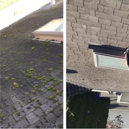 Before and After Moss Removal